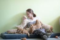 0d08beb5a6ed73ce24d9702b69d1d410_195