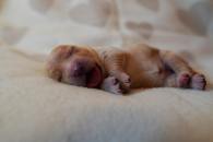 0d33380f0667b0a3679bc4f2a0001da0_195x130_fill