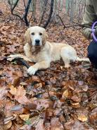 0de292cf153b56097b553557f997106d_138x184_fill