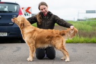 0dfb0f5e3abc22c4918c8914f3d84620_195