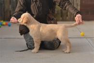 0e61826d25cd30fb429eaba830a70975_195