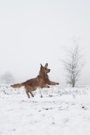 0ec11376dfd8c3a18be4242fc3ecac76_130x195