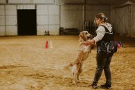 0f4bda397a40eaeb14713ed64228f944_195x130_fill