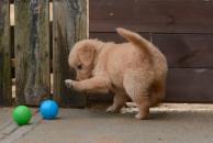 0f7b0e32026761dd0be41a74acabfe6c_194