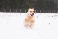 0f82ecb4ea8982479012b966874e9fd9_195