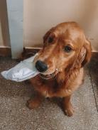 0fd5de3a0a46ad96eaebe81a30ee259f_138x183