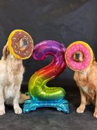 10295c17771183fc8ac5089a774fe0c2_138x184_fill