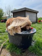 10345b181d5c6b150f96c96d55e8f80c_138x184_fill