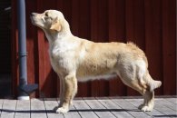 106af0c0cecc1c79fdf49214eb7e7a57_195x130_fill