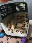 1071998b4f7c19396c32159480f11719_138x184_fill