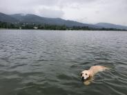 10867d158289f0f511368a394ea78c76_184x138_fill