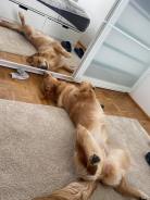 10b3bf8f90e6a433c28be3226af212c5_138x184_fill