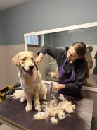 10eb9ac5fe8b571790fc5d17cd4e8132_138x184_fill