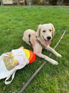 1196698f09ab1afe5974e65e8a8a9a00_138x184_fill