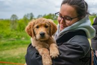 11adf5971e0a366be5468a0e2a7d31a2_194