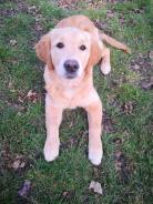 1211573e6cb1788274476b503554f63b_138x184_fill