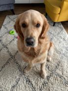 122efaed6e646be7998599c1b50b9d35_138x184_fill