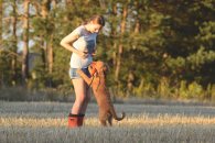 123745a89fbcaa9dcfc681f824ddcd82_195