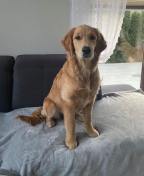 127858a0d9974d8d56d8221d9a11331c_144x176