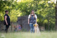 12867693f6da05681a980af20700b075_194