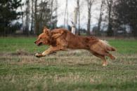 129f072197ca61f89520e51917f4402e_195x130_fill