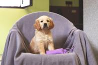 12b625201e521ecc04f7d4dd927ae8a7_195