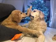 12ce16b866128c64434f5a502cfc7172_183