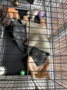 1330b4965f03e2cd9670cf3ceb77ee3d_138x184_fill