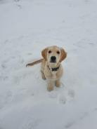 13a41593471a2cff62f97e6e32cd1c55_138x184_fill