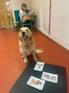 1412fdd379ef4c535958e5017fdb1065_138x184_fill