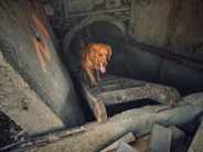 1436d7ab27beade63b047f40bb747f4a_184x138_fill