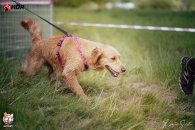 144c8307dc70d9ee2e390983e96fb969_195x130_fill