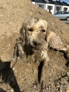 147f2647ac4f9e736542b63ea24688ef_138x184_fill