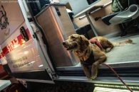 14a26d092b35ac5f220296143b00114f_195