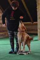 156b143269606dea9368eeb753a79115_130x194