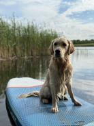 15a3f39716859d1bafa9d7ce31d2b794_138x184_fill