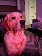 15b3799174878835b000540539442ef7_138x184_fill