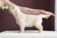 15d3dfd1311d7b3ad749b3cf2625f657_195