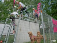 15de328355d673c6f0242271048cb4c0_183