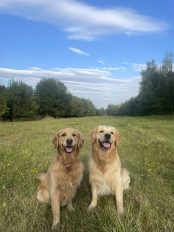 16129c89331478443622e2ffe116e115_174x232_fill