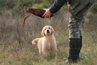 161743cf7c5cf55ad61450445aef44de_195