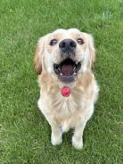 1656a51e290a9e55aa9f0ad796400321_138x184_fill