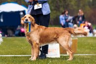 165aa1291780b314c9dd726e9878c3e5_195