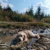 169647c79e05d11ebfa904c8560c50c4_160x160_fill