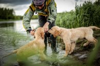 16bed3aa560366b9878a4ed04c063586_195