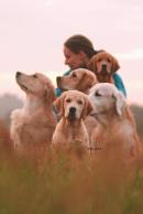 16eb799b205e04d198e5dd6f3e38f3ea_130x194