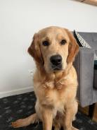 170f08bb6736d67fed8b1dd55801c21d_138x184_fill