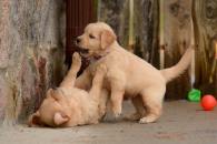 17a47366b7ff25acd9567eb92afcab81_195