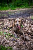 17c5e8a00ea2edb31b3348ecfda7c35a_130x195