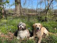 17d842d4f07e2425e7c22e5cc71551de_184